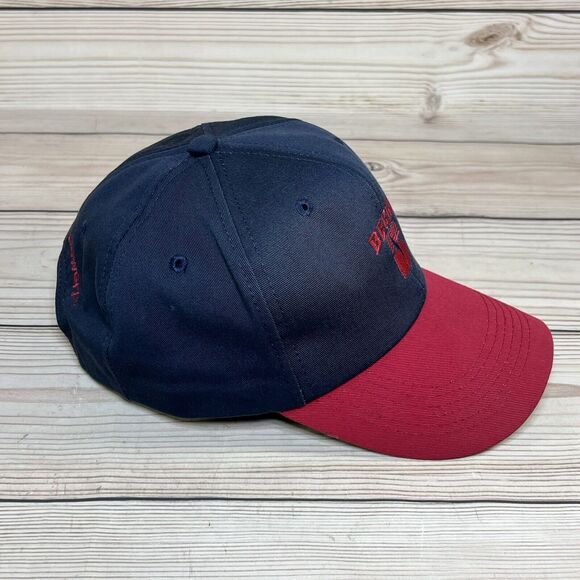 Beck's Hybrid Seed Unisex Adult Small/Teens Snapback Hat Dad Cap Red Blue Farm - Picture 5 of 12